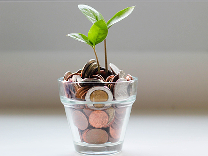 Ein Glas mit Geldstücken aus dem eine Pflanze wächst