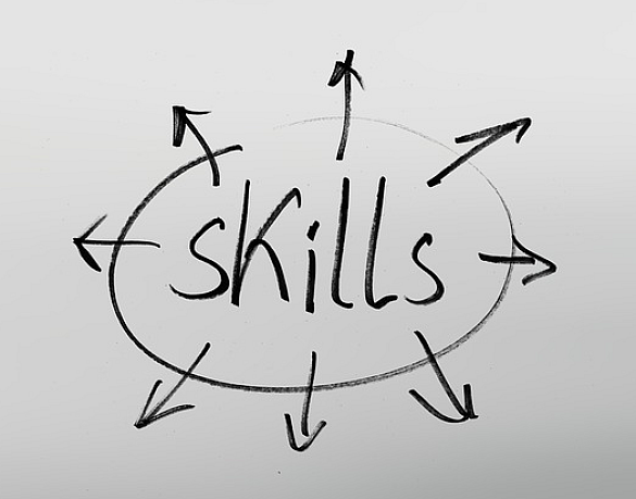 Schriftzug -Skills-